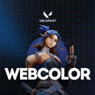 Hack Valorant Webcolor